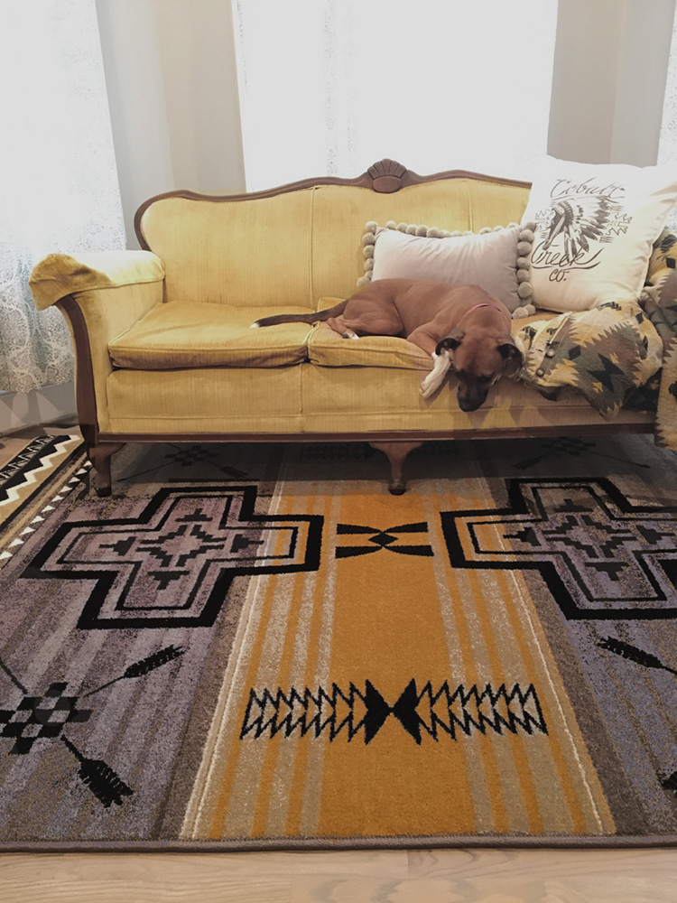 Western Throw Blankets