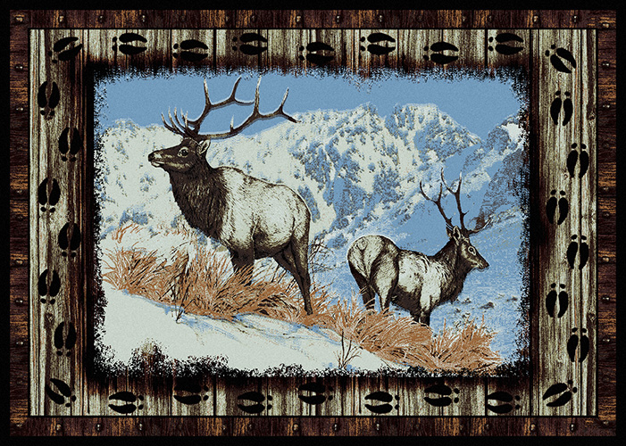 Western Rug 8x10